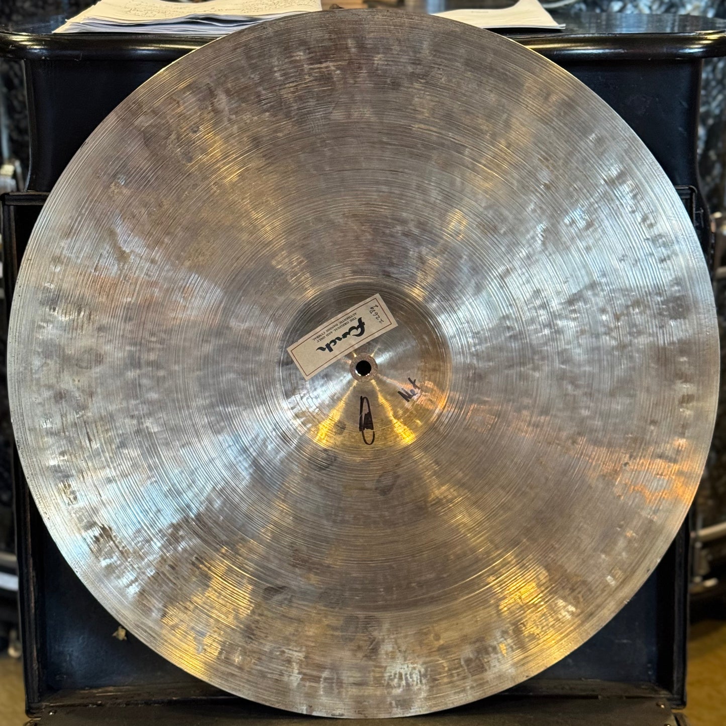 NEW Funch 22" Nefertiti - 2268g